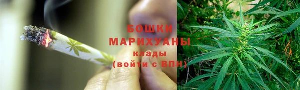 ПСИЛОЦИБИНОВЫЕ ГРИБЫ Балабаново
